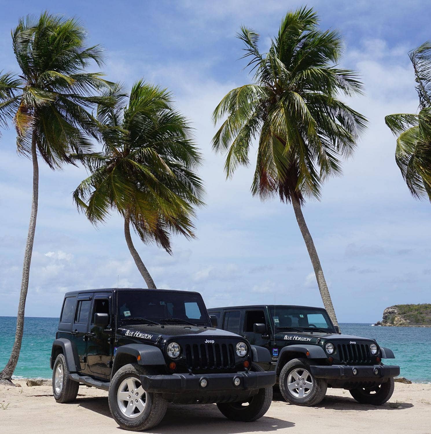 Two black Jeep Wrangler 4-door rentals from Coqui Car Rental parked on a Vieques beach with palm trees and turquoise sea
